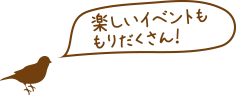 楽しいイベントももりだくさん！