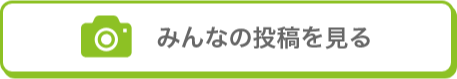 みんなの投稿を見る